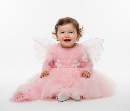 Enchanted Butterfly Fairy Dress