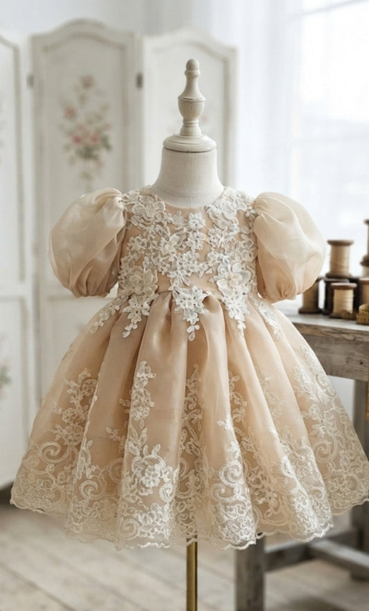The Vintage Gold Frock