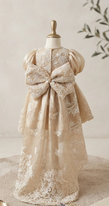The Vintage Gold Frock