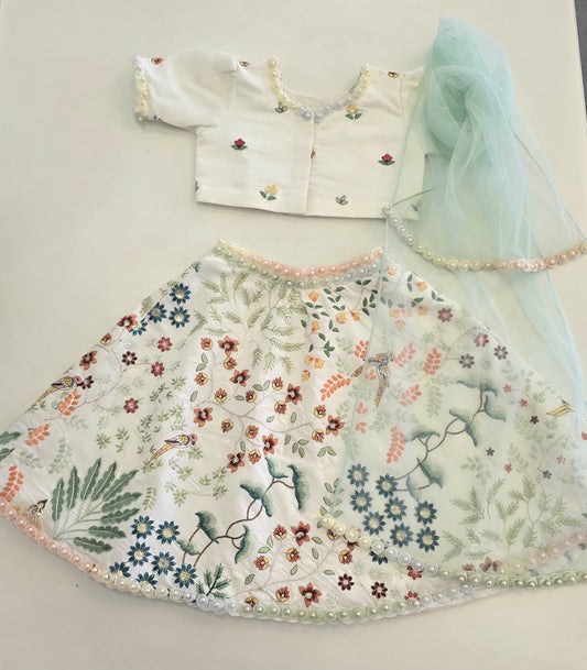 The Elegant Embroidered Lehenga  Set
