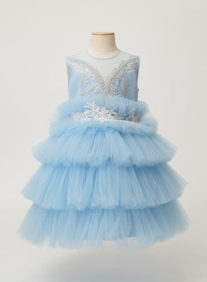 Sky Blue Pearl Embroidered Gown