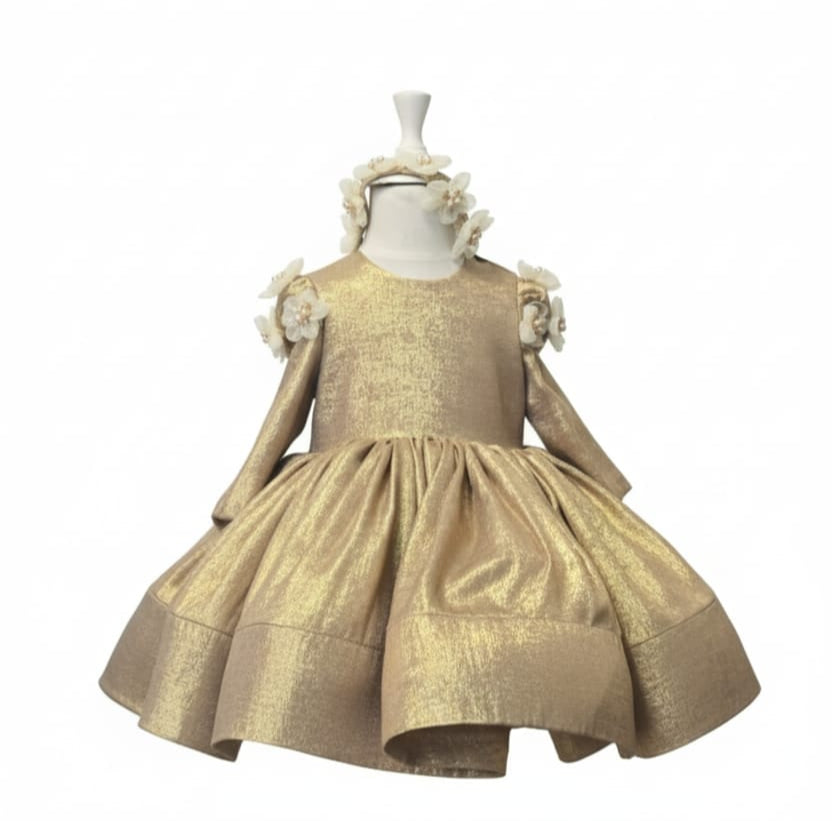 Party Wear frock 1