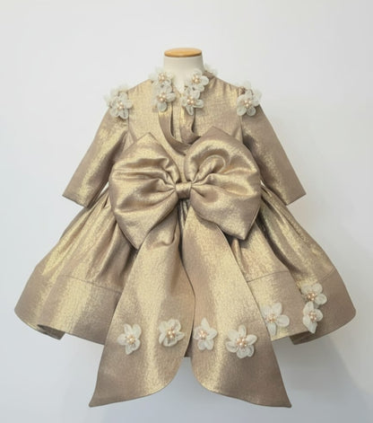 Party Wear frock 1